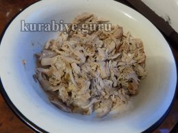 Рийет из курицы с карамелизированными сливами