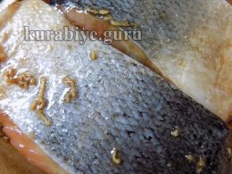 Лосось запечённый в духовке с фруктовой сальсой