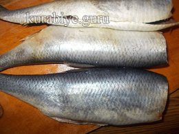 Закусочные рулетики из сельди