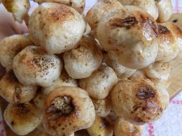 Мариновані лісові гриби — універсальний рецепт