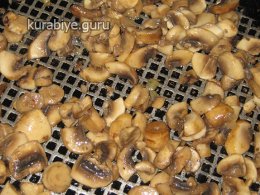 Рагу из свинины и грибов с полентой 