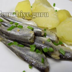Маринованная салака